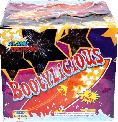 BOOTYLICIOUS - Image 2