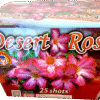 DESERT ROSE
