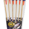 GEMINI PROGRAM