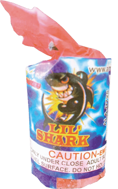 LIL' SHARK - Image 2