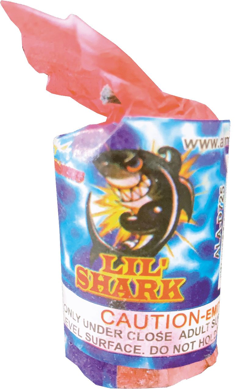LIL' SHARK - Image 2